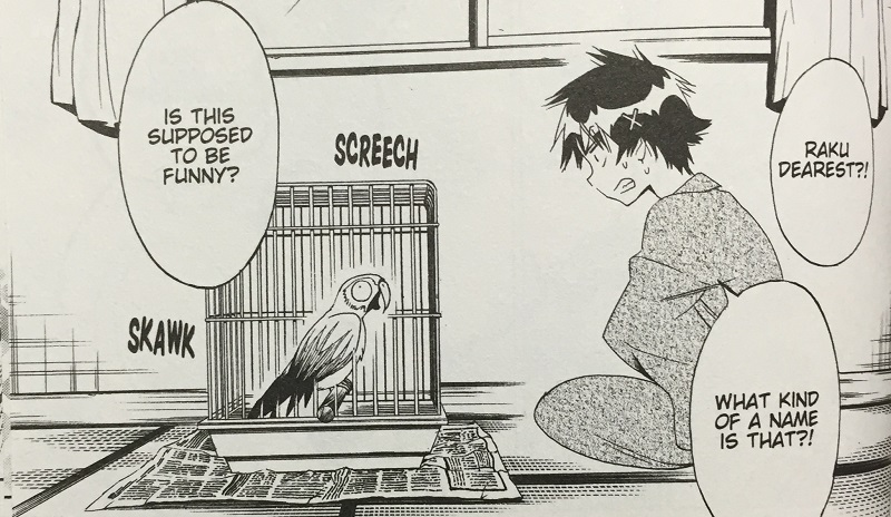 Illustration for article titled Nisekoi Vol. 12 - Manga Review